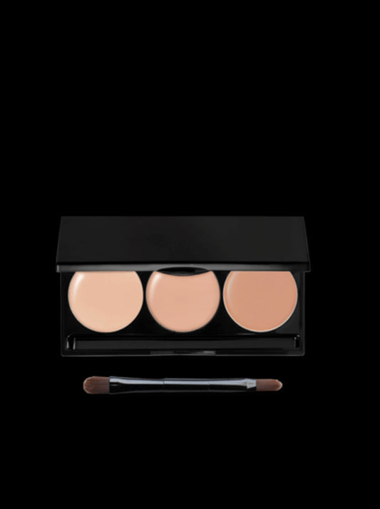 Mapping Concealer Palette