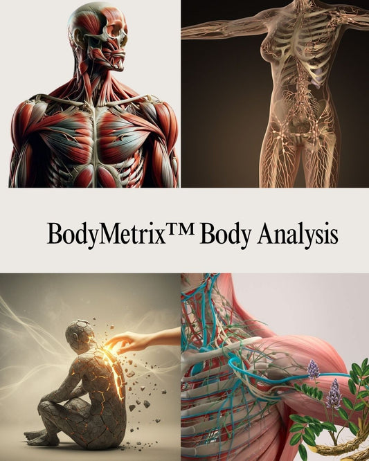 BodyMetrix ™  Body Analysis